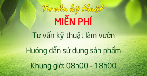 Tư vấn kỹ thuật miễn phí