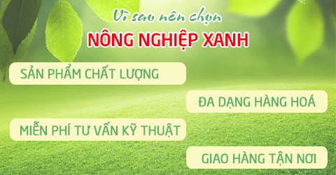 Vì sao nên chọn nông nghiệp xanh