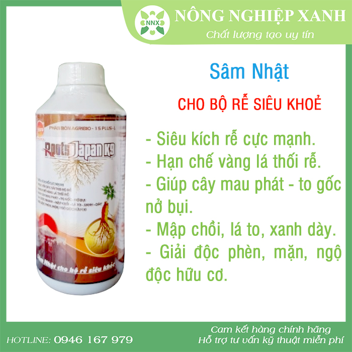 ROOTS JAPAN - Sâm Nhật cho bộ rễ siêu khoẻ 500ml